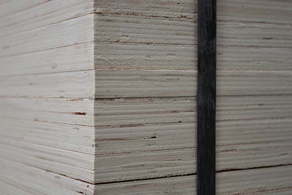 ����Ȼ���γ��Ͷ��Ӱ�