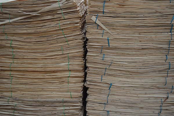 ���Ӱ�ԭ��