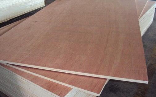 2016-2017����Ӱ��Ј�(ch��ng)����F(xi��n)�����