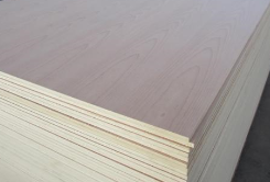 ���Ӱ�����ȥ�^(q��)�e�������İ��