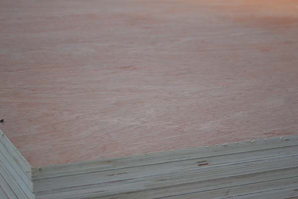 ���Ӱ��ڃ�(ch��)��r(sh��)Ҫ���]��Щ���}��