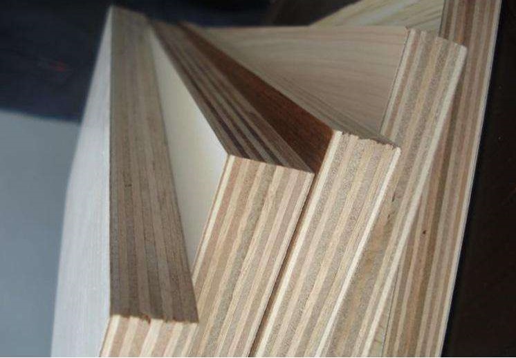 ���Ӱ�S�ң���(sh��)ľ��Ͷ��Ӱ�ą^(q��)�e