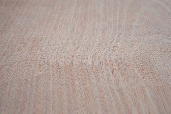 ���Ӱ�ˢ����ע��ļ���(ji��)